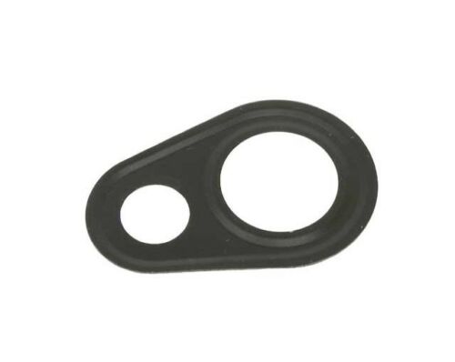 Air Pump Check Valve Gasket